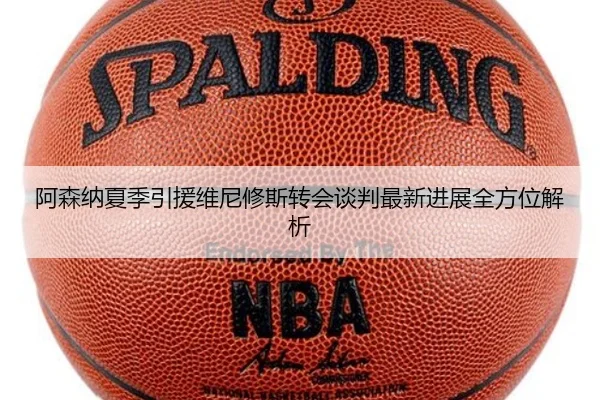 阿森纳夏季引援维尼修斯转会谈判最新进展全方位解析